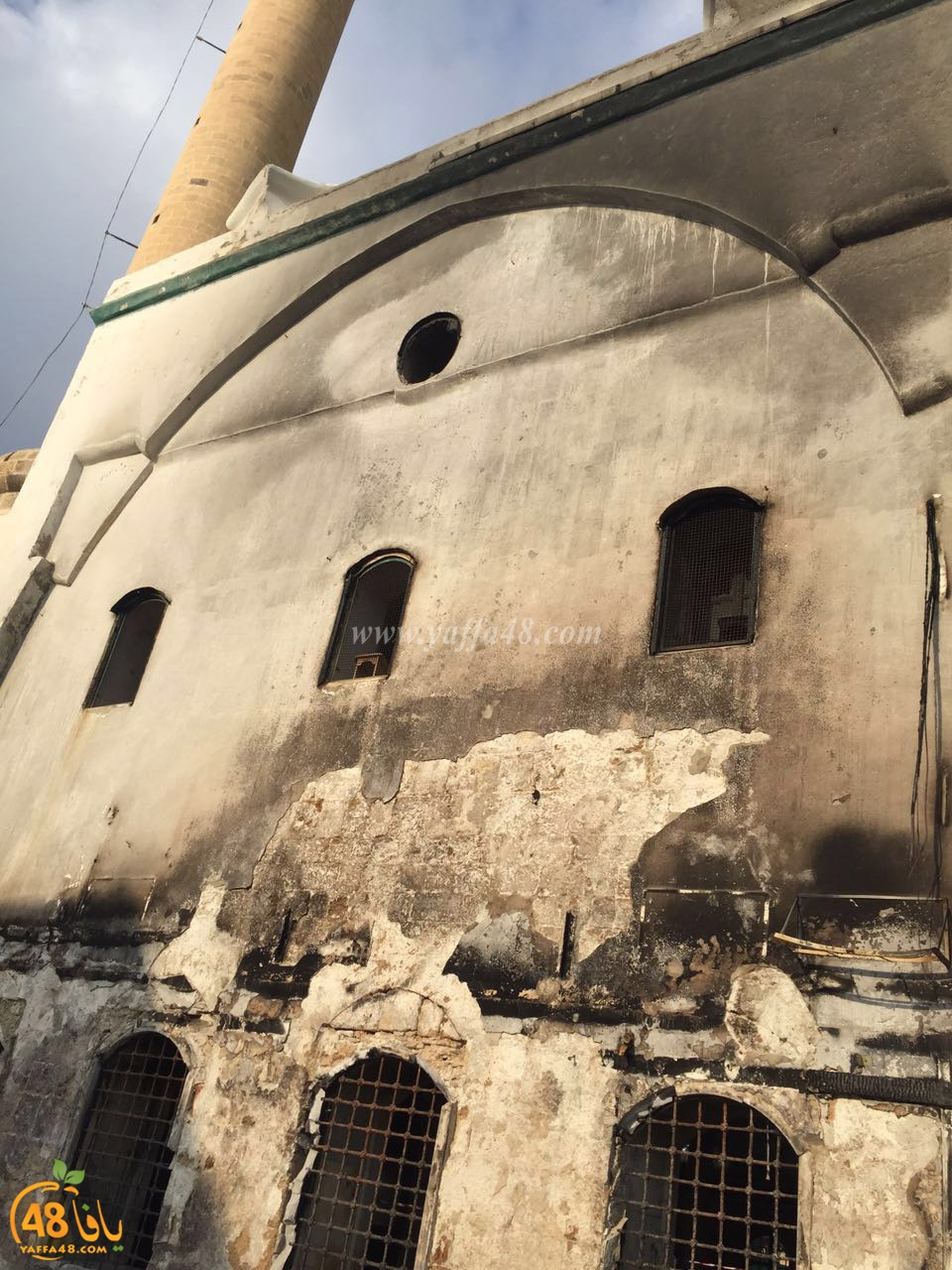 wafasd jazar yaffa (3).jpg